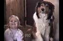 Hund versuch zu l�cheln