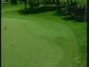 Hole in One