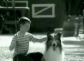 Lassie