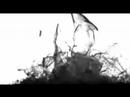 Slow Motion Video