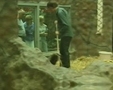 Arbeit im Zoo