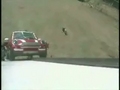 Fliegendes Auto