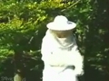 Bienenangriff
