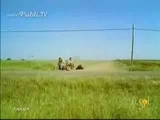 Bremsen für Tiere