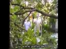Gartenarbeit