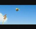 Gecko und Biene