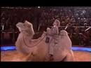 Horst Schlämmer bei Stars in der Manege