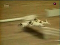 Hundesalto