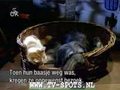 Hund und Katze im Team