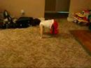 Junger Breakdancer