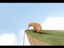 Kiwi kann fliegen