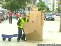 Lebendiger Karton