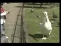 Lecker Vogel