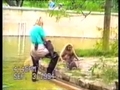 Lustige Tiere