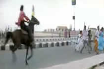 Pferdestunt